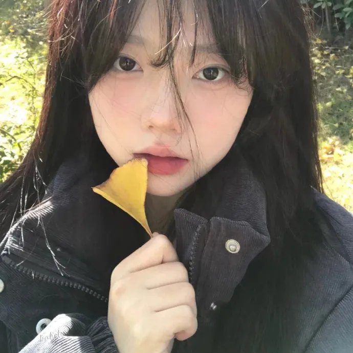 排球少年第三季